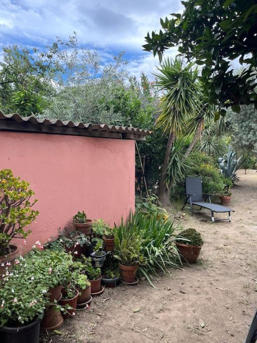 אלן Maison De Village Vintage Avec Grand Jardin מראה חיצוני תמונה