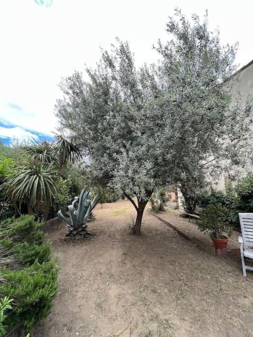 אלן Maison De Village Vintage Avec Grand Jardin מראה חיצוני תמונה